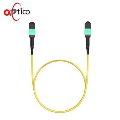 24F MPO männlich an mpo weibliche Kofferkabel OS2